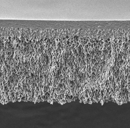 Cross-section of traditional microporous membrane with uniform pore structure from top to bottom Cross-section of traditional microporous membrane with uniform pore structure from top to bottom