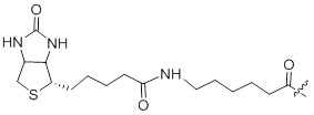 Biotin Biotin