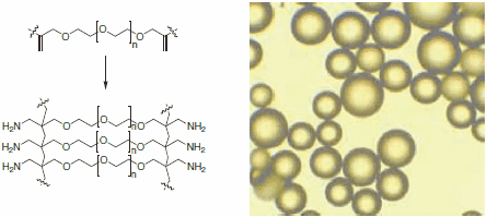 The scaff old of Aminomethyl-ChemMatrix<sup>®</sup> resin is built completely on chemically stable polyether bonds (left). Microscopic image of ChemMatrix<sup>®</sup> beads (right). The scaff old of Aminomethyl-ChemMatrix resin is built completely on chemically stable polyether bonds (left). Microscopic image of ChemMatrix beads (right).