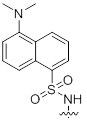 Dansyl Dansyl