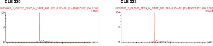 Deconvoluted MS spectra of Code H LC. Deconvoluted MS spectra of Code H LC.