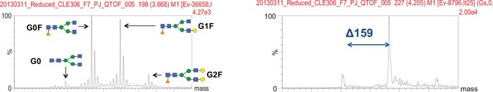 Deconvoluted MS spectra of Code H HC and LC. Deconvoluted MS spectra of Code H HC and LC.