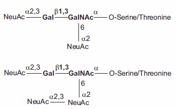 Di- and Trisialyated O-linked Core-1 Saccharides (core shown in bold). Di- and Trisialyated O-linked Core-1 Saccharides (core shown in bold).