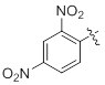 Dinitrophenyl Dinitrophenyl