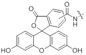 Fluorescein Fluorescein