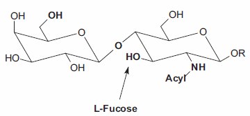 Minimum structural requirements for an acceptor employed in α(1→3)FucT catalyzed transfer of L-fucose include: 6’-OH, free 3-OH, β(1→4)-linkage and 2-NH-acylation. An acyl lactosamine is shown as an example acceptor. Minimum structural requirements for an acceptor employed