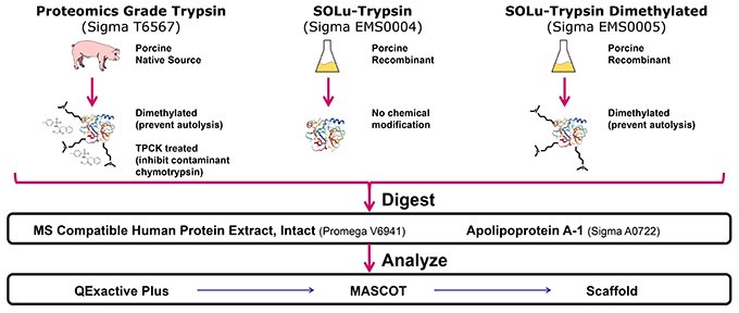 Materials and Methods of Evaluation of Recombinant, Chemically Treated Trypsin in Proteomics and Protein Characterization Assays Materials and Methods