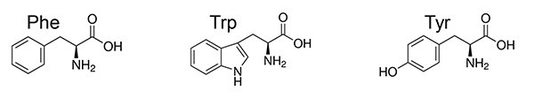 Dimethylated Dimethylated