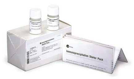 Immunoprecipitation Starter Pack for immunoprecipitation of a wide range of antibodies with different binding selectivities. Immunoprecipitation Starter Pack for immunoprecipitation of a wide range of antibodies with different binding selectivities.