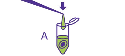 Beginning of the In-Solution Deglycosylation workflow starting with aliquoting the glycoprotein sample. Beginning of the In-Solution Deglycosylation workflow starting with aliquoting the glycoprotein sample.