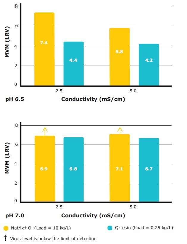 Robust, load independent viral clearance in monoclonal antibody purification with Natrix® Q chromatography membrane Comparison of MVM clearance by Natrix® Q chromatography membrane and a modern Q-resin