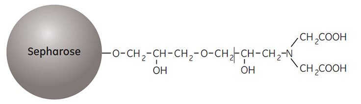 Partial structure of Chelating Sepharose High Performance and Chelating Sepharose Fast Flow. Partial structure of Chelating Sepharose High Performance and Chelating Sepharose Fast Flow.