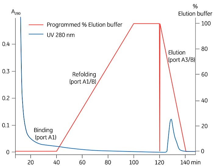 Results for on Column Refolding Results for on column refolding