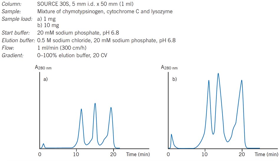 The influence of increasing sample load on resolution. The influence of increasing sample load on resolution