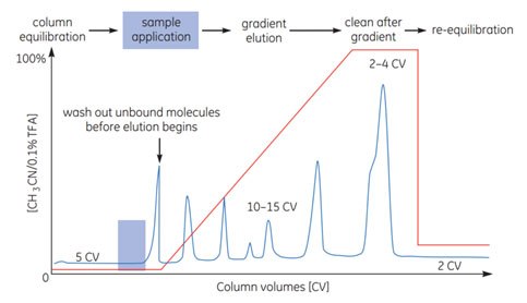 Typical RPC gradient elution