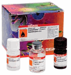 Tools for Protein Quantitation