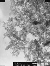 figure11 TEM micrograph of ZnO rods