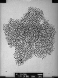 figure33 TEM micrograph of self-assembled gold particles