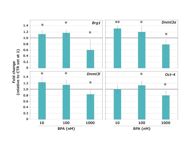 Effects of BPA on maternal-effect gene expression in mouse oocytes Expresión de los genes de efecto materno en ovocitos de ratón expuestos a BPA durante la transición GV a MII.