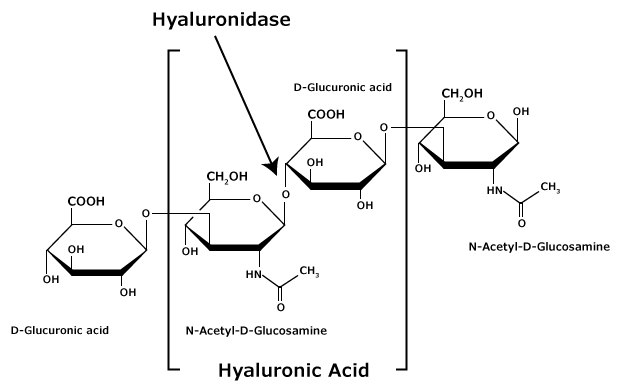 Hyaluronic Acid Chemical Structure The chemical structure of hyaluronic acid glycosaminoglycan that is composed of alternating residues of β-D-(1‑3) glucuronic acid and β-D-(1‑4)-N-acetylglucosamine.