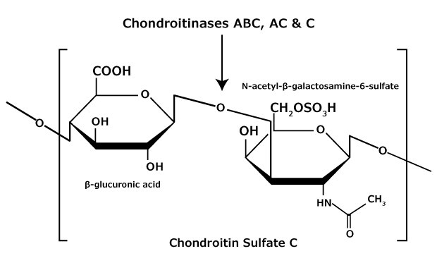 Chondroitin Sulfate C Chemical Structure The chemical structure of chondroitin sulfate C glycosaminoglycan that contains an alternating copolymer β-glucuronic acid-(1‑3)-N-acetyl-β-galactosamine-6‑sulfate.