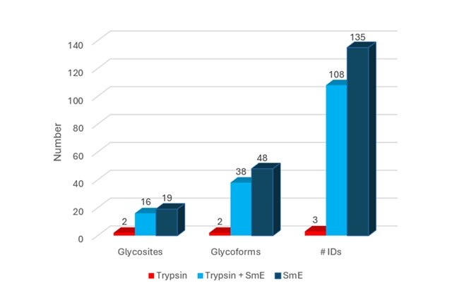 Glycosites and Glycoform identified after treatment of TIM4 with SmE alone A bar graph comparing the number of glycosites, glycoforms, and IDs identified using different treatments: Trypsin (red), Trypsin + SmE (light blue), and SmE (dark blue). The graph shows that the highest number of IDs (135) was achieved with SmE, while glycosites and glycoforms had lower counts, with Trypsin showing the least effectiveness across all categories.