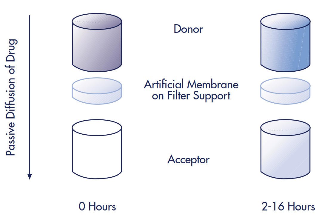 Individual Donor/Acceptor Well Assembly Before and After Incubation Individual Donor/Acceptor Well Assembly Before and After Incubation