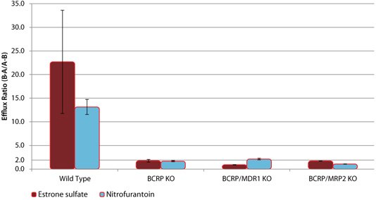 Efflux of BCRP Substrates in wild-type (WT) and BCRP knockout (KO) cell lines Efflux of BCRP Substrates in wild-type (WT) and BCRP knockout (KO) cell lines