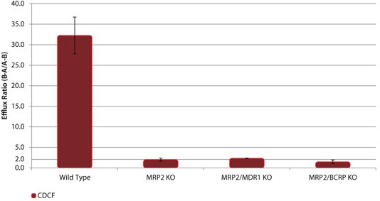 Efflux of the MRP2 Substrate CDCF in wild-type (WT) and MRP2 knockout (KO) cell lines Efflux of the MRP2 Substrate CDCF in wild-type (WT) and MRP2 knockout (KO) cell lines