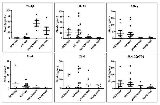 Aging Mouse Model Data showing how the MILLIPLEX® Mouse High Sensitivity T Cell Panel performed in an aging mouse model. C57Bl/6 control mice were from Bioreclamation IVT, Westbury, NY. Young was 4 months and old was 20 to 22 months.