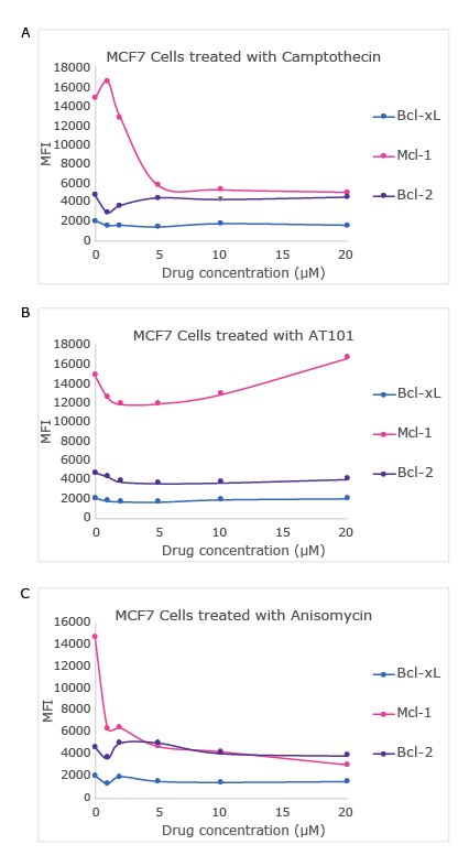 Drug Dose-Dependent Study in MCF7 Cell Line Using the MILLIPLEX® Bcl-2 Family Apoptosis Panel 2 Graphs showing a drug dose-dependent study in MCF7 cell line using the MILLIPLEX® Bcl-2 Family Apoptosis Panel 2 (Cat. No. 48-683MAG) with varying concentrations of camptothecin, anisomycin, and AT101. Analytes measured include Bcl-xL, MCL-1, and Bcl-2.