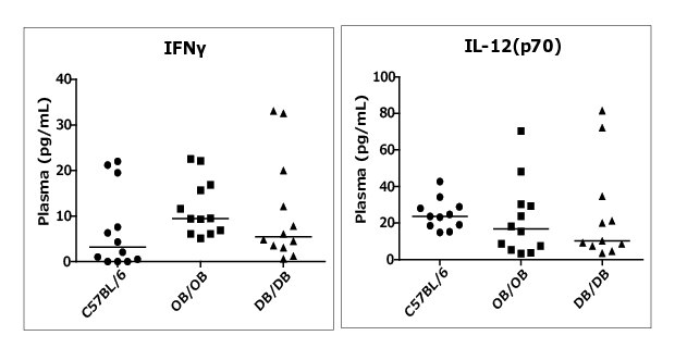 Diabetic Obese Mouse Model Data showing how the MILLIPLEX® Mouse High Sensitivity T Cell Panel performed in a diabetic mouse model. OB/OB obese mice cannot produce the hormone leptin which inhibits hunger. In DB/DB diabetic obese mice, the leptin receptor is inactive. OB/OB, DB/DB, and C57Bl/6 control mice were from Bioreclamation IVT, Westbury, NY.