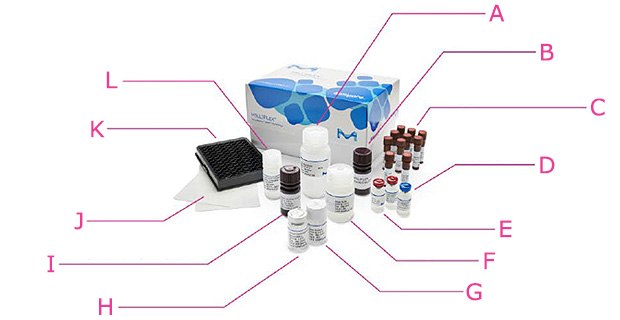 MILLIPLEX® Multiplex Kit Components Components of quantitative MILLIPLEX<sup>®</sup> kit