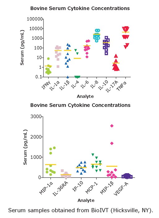 Bovine Serum Cytokine Concentrations Graph showing analyte data of serum samples obtained from BioIVT (Hicksville, NY). Samples were assayed according to MILLIPLEX® Bovine Cytokine/Chemokine Panel 1 protocol.