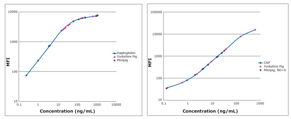Standard Curves For APP Markers In Porcine Samples Standard curves for acute phase protein (APP) markers in porcine samples using MILLIPLEX® Porcine Acute Phase Protein Panel. Graphs show concentration in ng/mL on the x-axis and MFI on the y-axis. Haptoglobin graph shows a curve with a straight line going diagonally up and then slightly curving at the top while the CRP graph shows more of a traditional S-curve with curves at the bottom and top of the line.