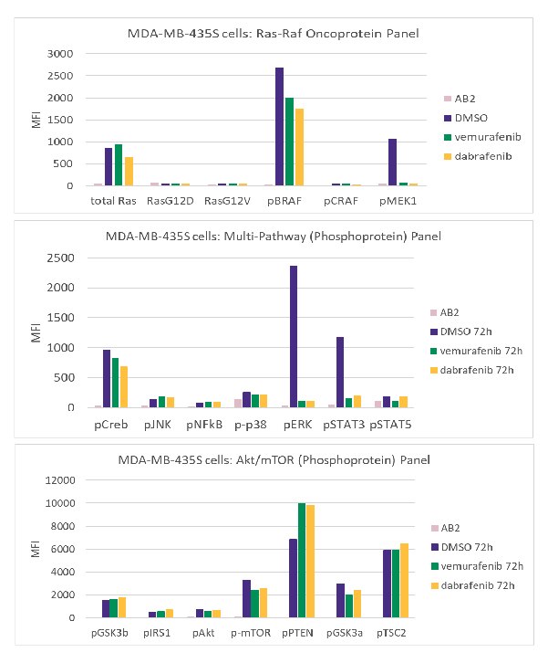 Treatment of MDA-MB-435S Cells with BRAF Inhibitors (vemurafenib and dabrafenib) Graphs showing treatment of MDA-MB-435S cells using the MILLIPLEX® Ras-Raf Oncoprotein Panel (Cat. No. 48-684MAG), MILLIPLEX® Multi-Pathway Phosphoprotein Panel (Cat. No. 48-680MAG), and MILLIPLEX® Akt/mTOR Phosphoprotein Panel (Cat. No. 48-611MAG) with vemurafenib and dabrafenib.