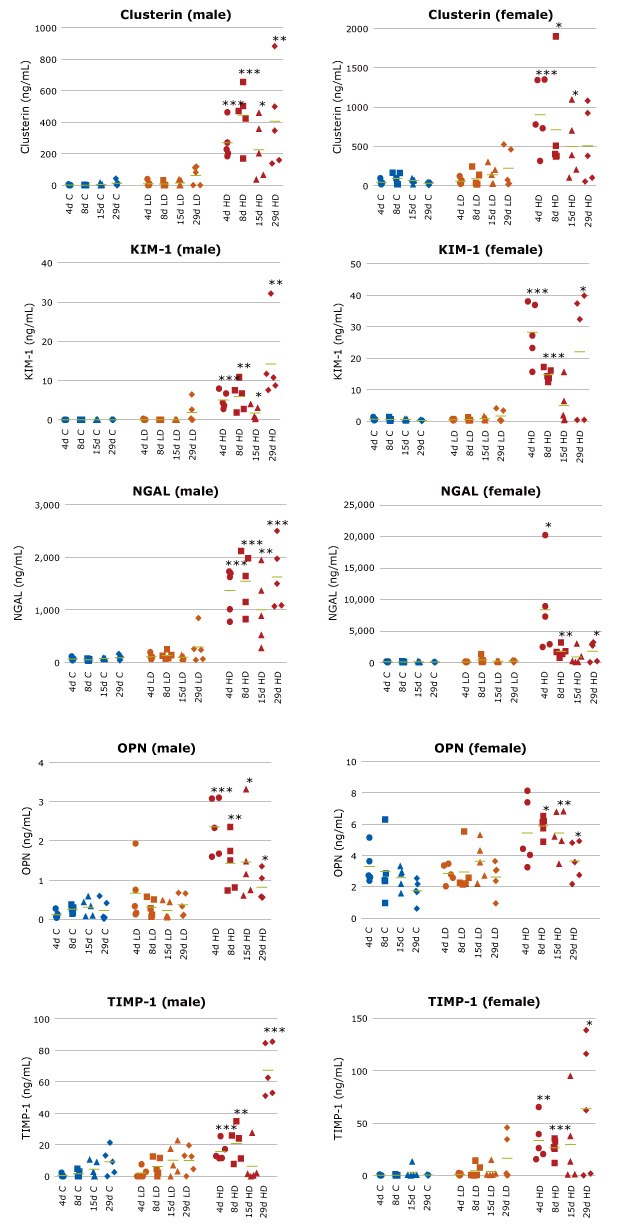 Urinary Kidney Biomarker Analysis (Clusterin, KIM-1, NGAL, Osteopontin (OPN), TIMP-1) Graphs showing kidney biomarker analysis of male/female rat urine samples by MILLIPLEX® Rat Kidney Toxicity Multiplex Assays (Cat. Nos. RKTX1MAG-37K, RKTX2MAG-37K) to predict drug-induced kidney damage by vancomycin. Biomarkers include Clusterin, KIM-1, NGAL, Osteopontin (OPN), and TIMP-1.