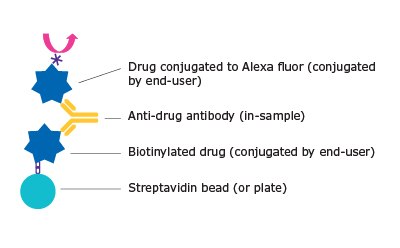 Bridging Assay Format for ADA Detection Diagram of a bridging assay format for anti-drug antibody detection in sample.