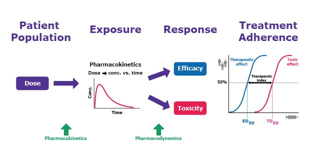 Drug and Effector Response with PK/PD Understanding drug and effector response through pharmacokinetics and pharmacodynamics.