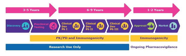 Drug Development Research Timeline A timeline of a typical drug development research program. PK/PD and immunogenicity testing are important from preclinical testing to Phase III, and immunogenicity testing and ongoing pharmacovigilance occur after approval.