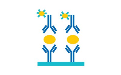 Antibodies translate each biomarker into a signal Antibodies translate each biomarker into a signal