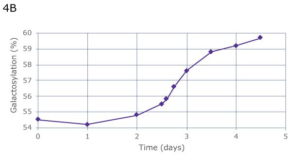 Automated sampling shows the same constant increase of galactosylation over 4 days, from 54.5% on day 0 to 59% on day 4, but provides greater insight due to more frequent data collection, thus allowing to observe a more precise curve progression between day 2 and 3.  