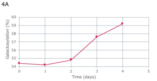 Manual sampling shows a constant increase of galactosylation over 4 days, from 54.5% on day 0 to 59% on day 4. 