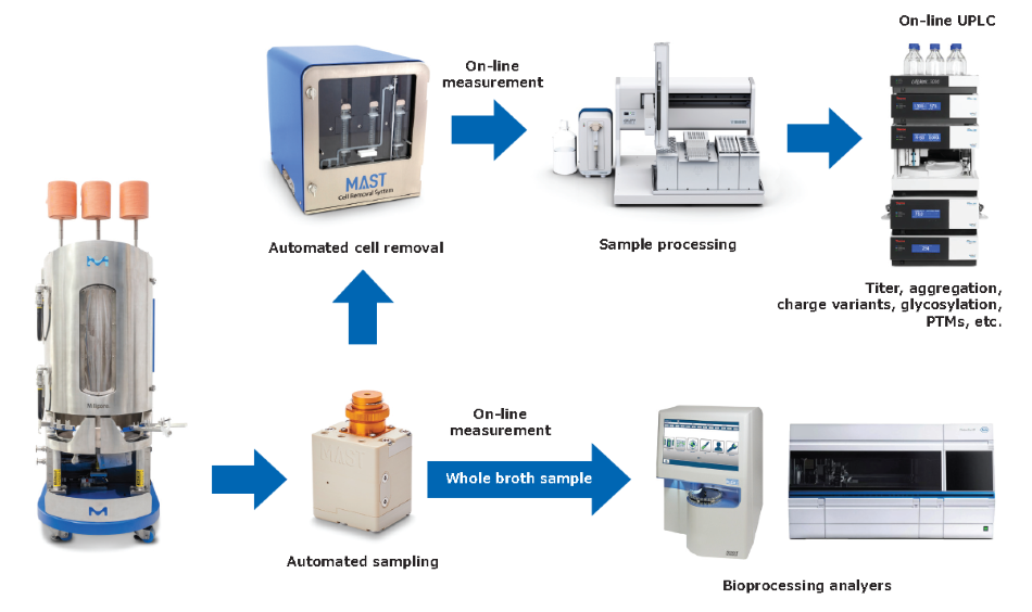 The MAST® Autosampling Solution workflow includes automated sampling and cell removal followed by sample processing and on-line analysis of parameters such as titer, aggregation, charge variants, glycosylation, and post-translational modifications. 