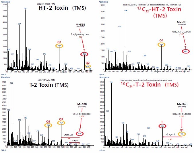 EI-Mass spectra of the TMS-derivatives of unlabelled and fully 13C isotope-labelled T-2 Toxin and HT-2 Toxin EI-Mass spectra of the TMS-derivatives of unlabelled and fully 13C isotope-labelled T-2 Toxin and HT-2 Toxin