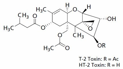 Molecular structure of the Trichothecenes T-2 Toxin and HT-2 Toxin Molecular structure of the Trichothecenes T-2 Toxin and HT-2 Toxin