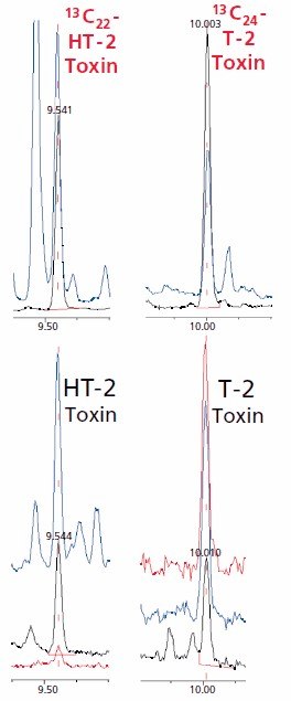 SIM chromatograms of a barley sample contaminated at very low levels. SIM chromatograms of a barley sample contaminated at very low levels.