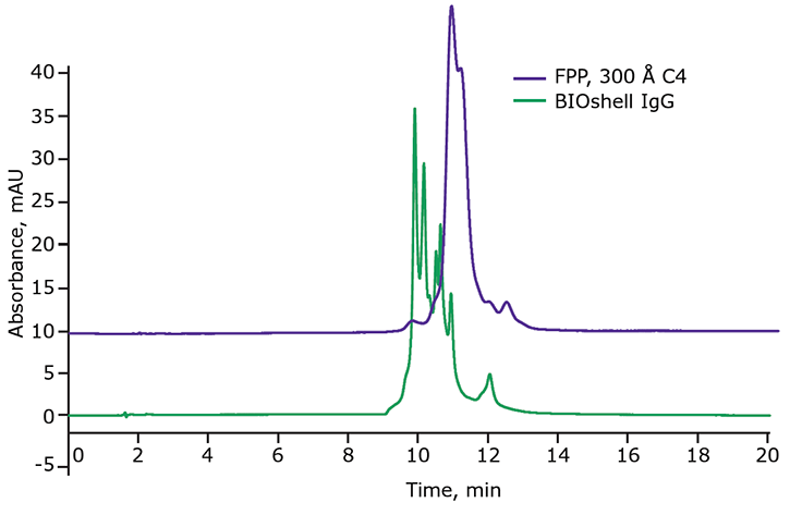Analysis of denosumab, an IgG2 antibody, by RPC. Graph analyzing denosumab, an IgG2 antibody, by reverse-phase chromatography (RPC). Two overlaid chromatograms are displayed: one labeled ‘FPP, 300 Å C4’ in green and the other labeled ‘BioShell IgG’ in purple. Both chromatograms have prominent peaks around the 8-minute mark. The x-axis is labeled ‘Time, min’ ranging from 0 to 20 minutes, and the y-axis is labeled ‘Absorbance, mAU’ ranging from -5 to 45 milli-Absorbance Units (mAU). This comparison highlights the separation profiles of the two different RPC columns for denosumab.