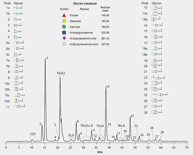 Empowering biochemists to analyze glycoproteins with exceptional reproducibility Separation of Procainamide Labeled Cetuximab Glycans