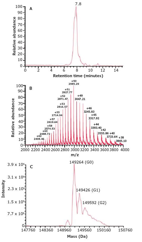 SEC-MS Analysis of Parent mAb. Accurate molar mass of the parent mAb was calculated to be 149.3 kDa via SEC-MS SEC-MS Analysis of Parent mAb.